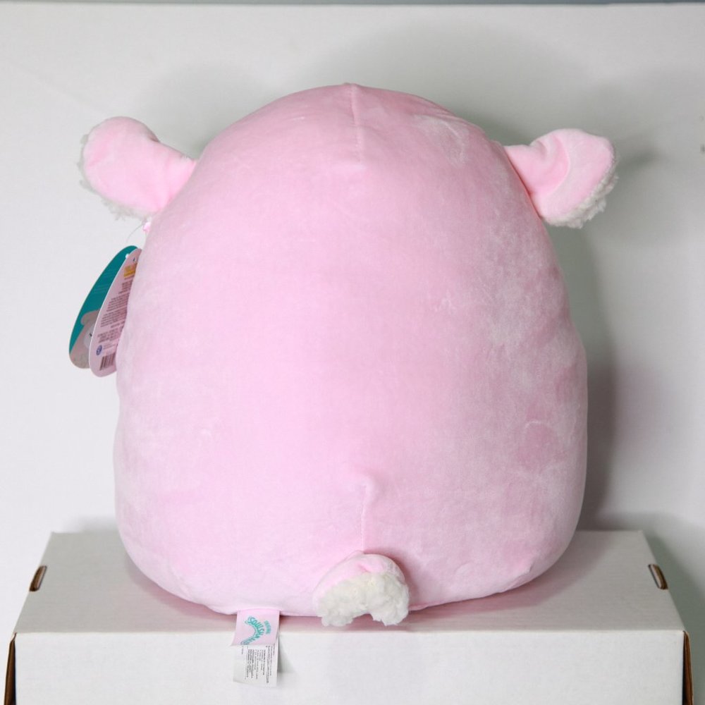 Elsa the Lamb Squishmallow 12”. Very Cute & Cuddly Condition is "Like New" BNWT - Picture 2 of 3